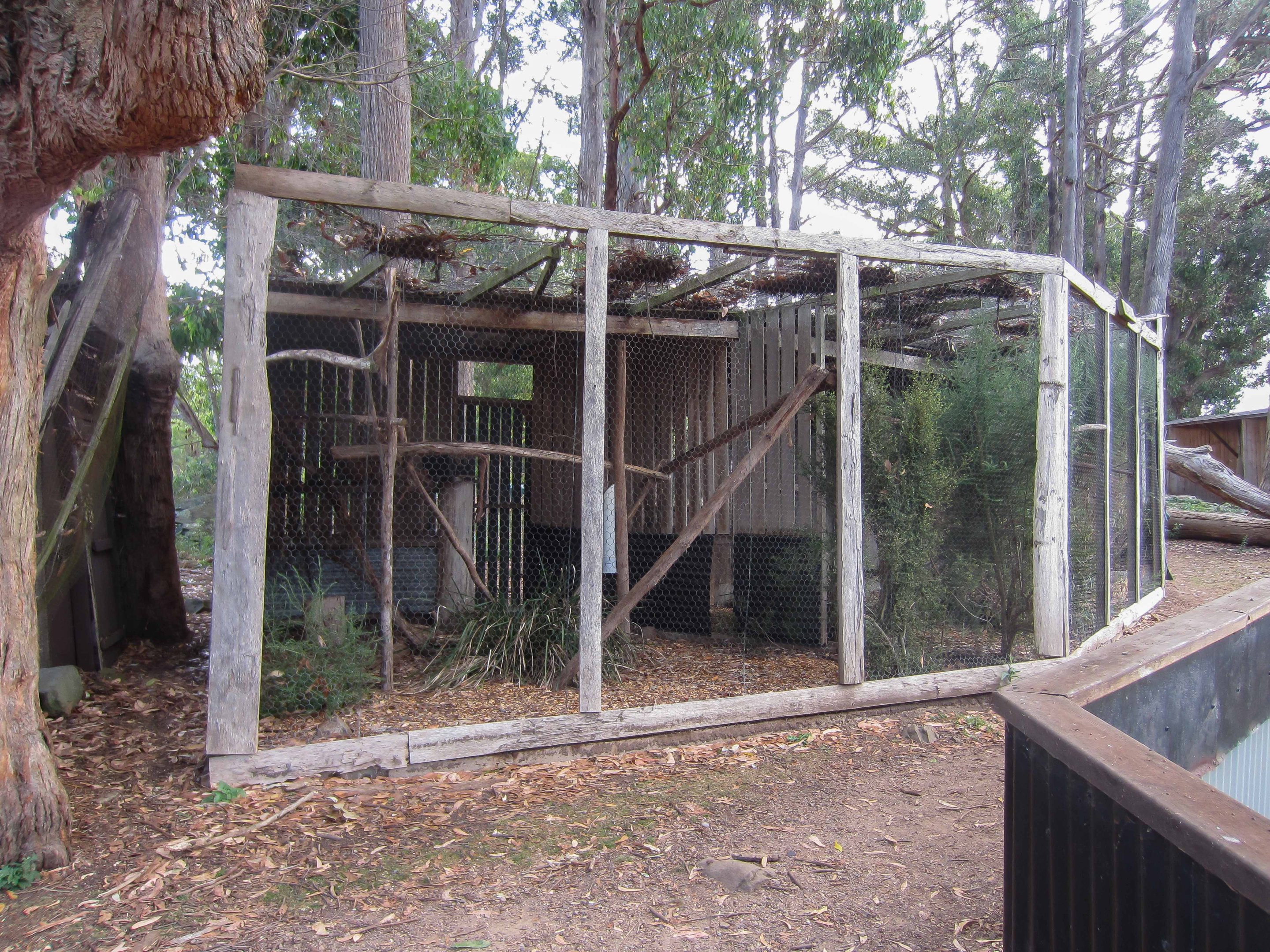 Kookaburra aviary