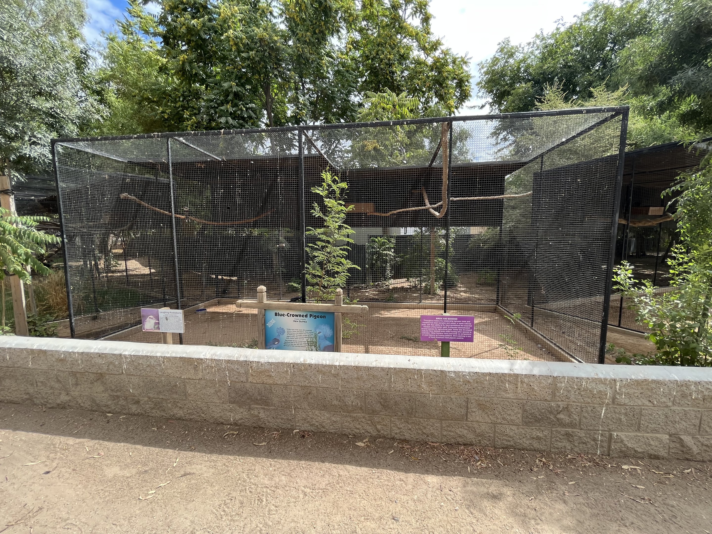 Kookaburra + Blue-crowned Pigeon Aviary