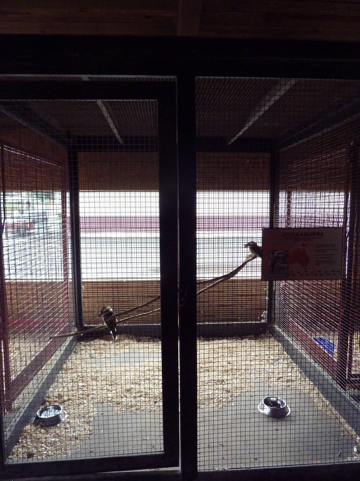 Kookaburra Cage