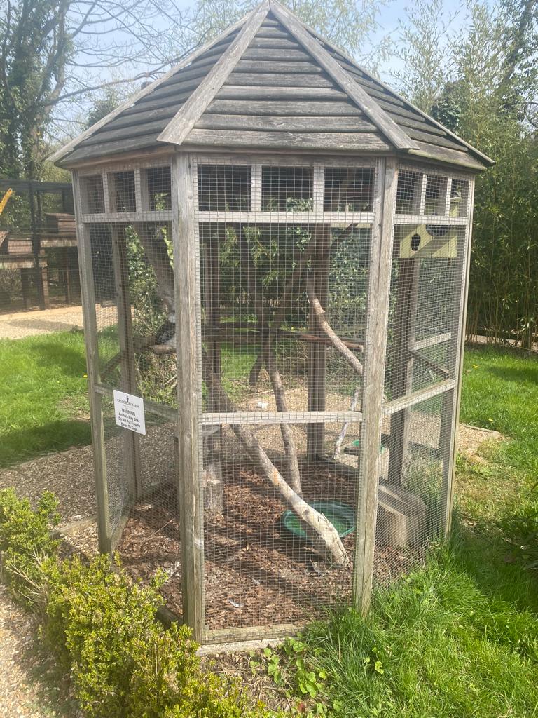 Kookaburra Cage