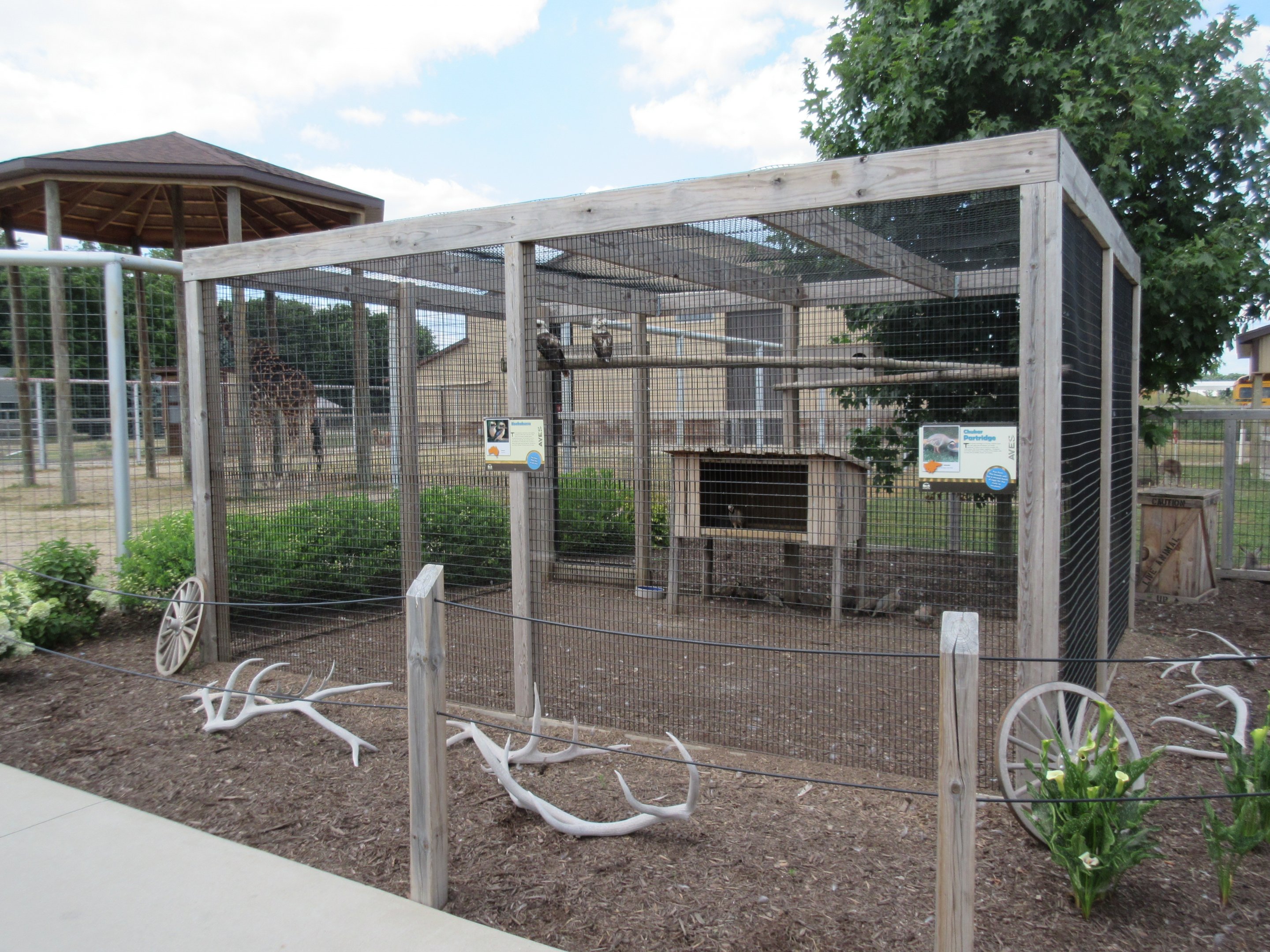 Kookaburra/Chukar Partridge Aviary
