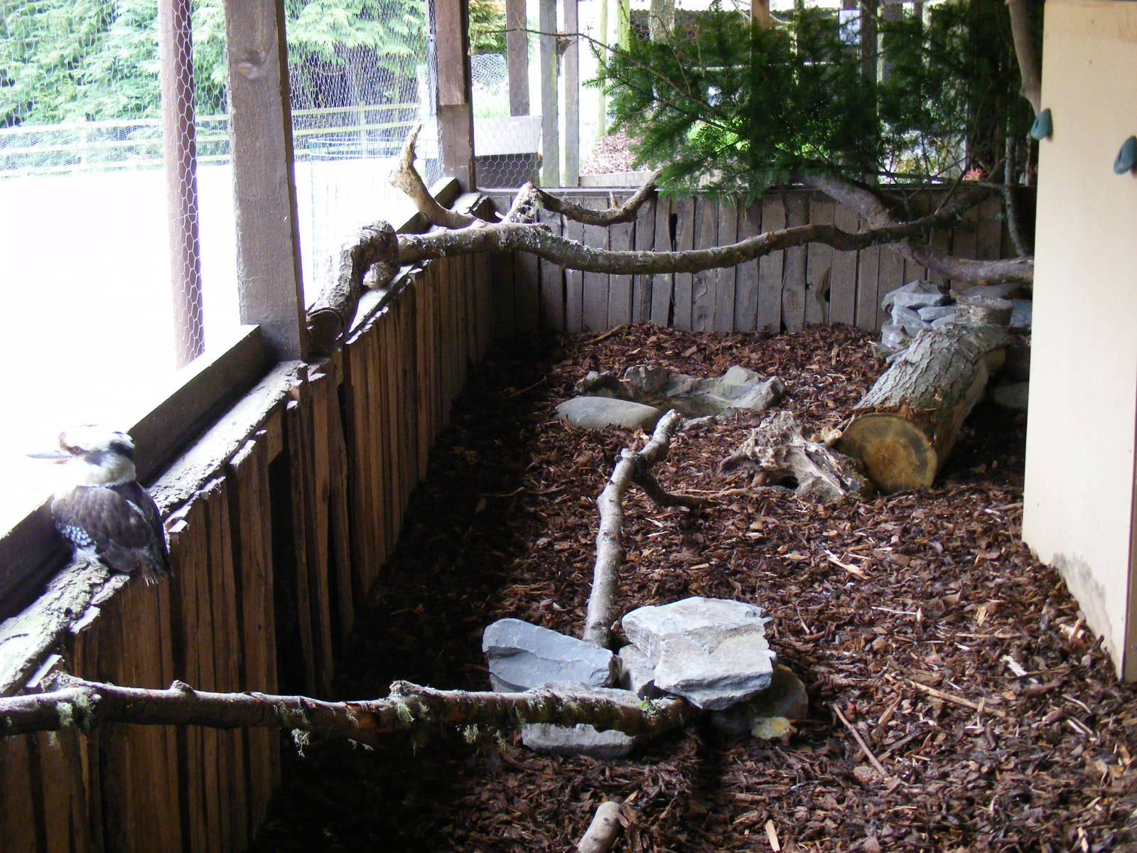 Kookaburra enclosure at Auchingarrich Wildlife Centre, 20 May 2010