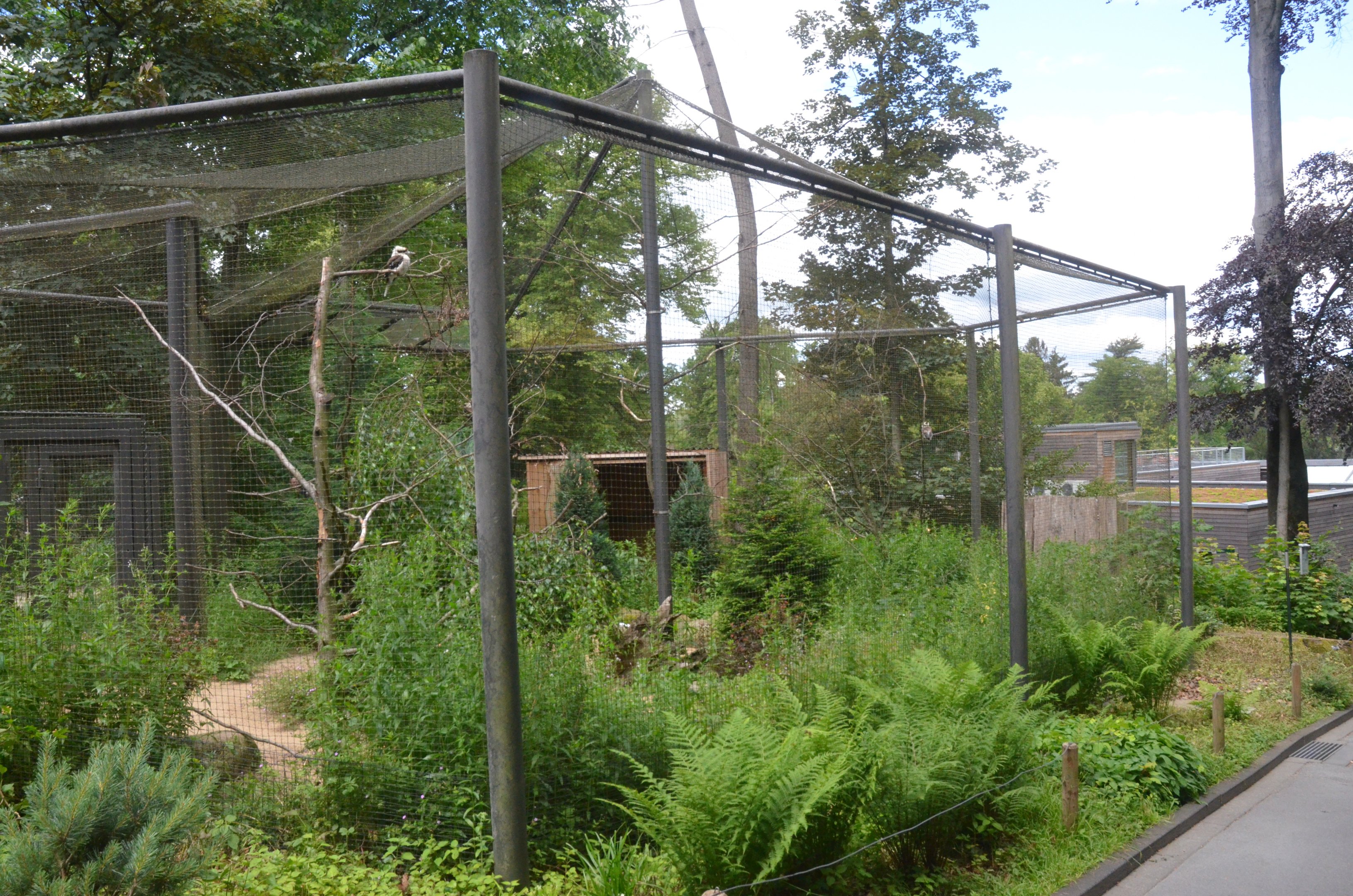 Kookaburra Enclosure at Wuppertal, 16/06/19