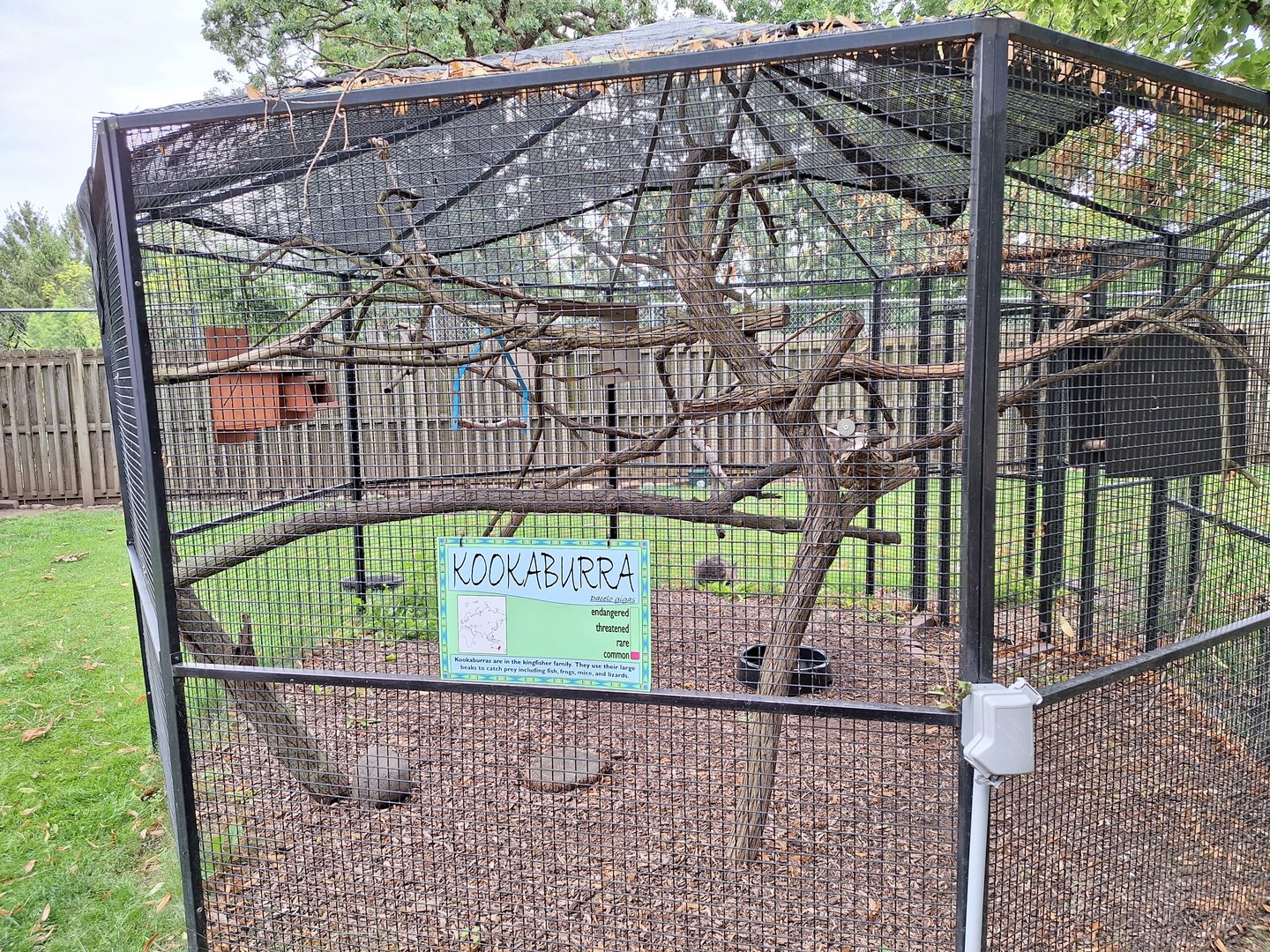Kookaburra enclosure