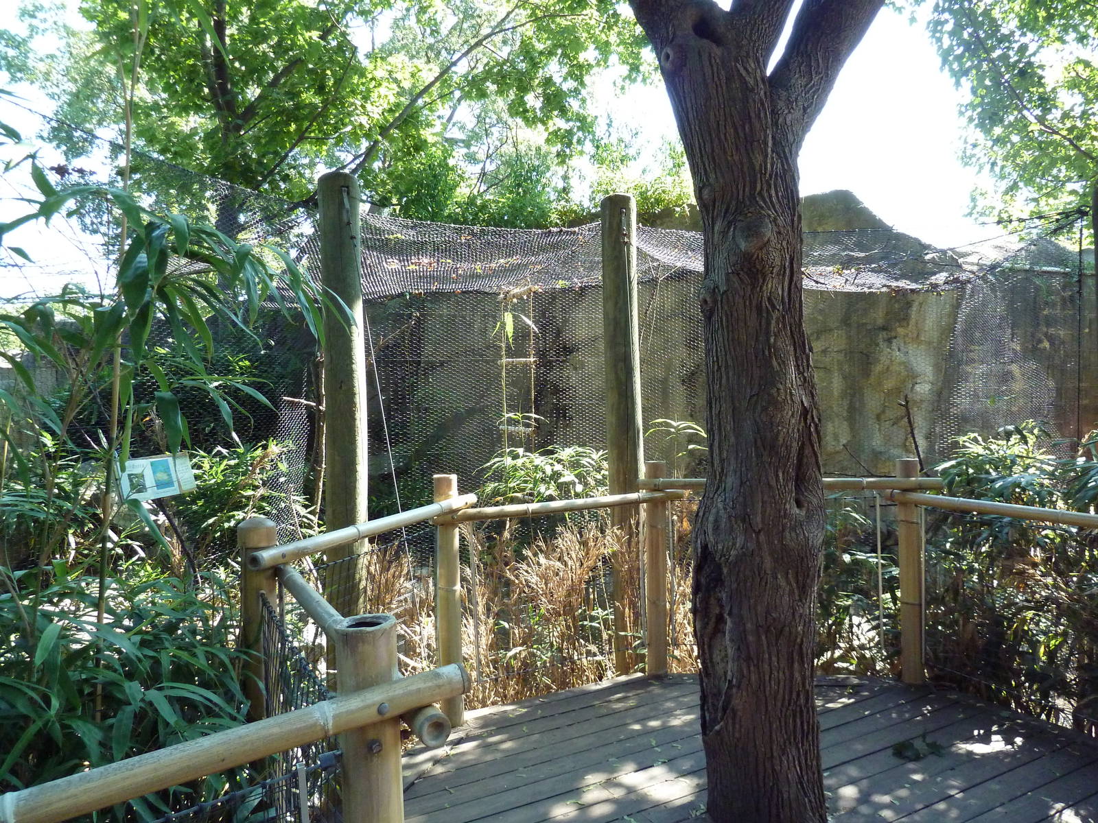 Kookaburra Exhibit