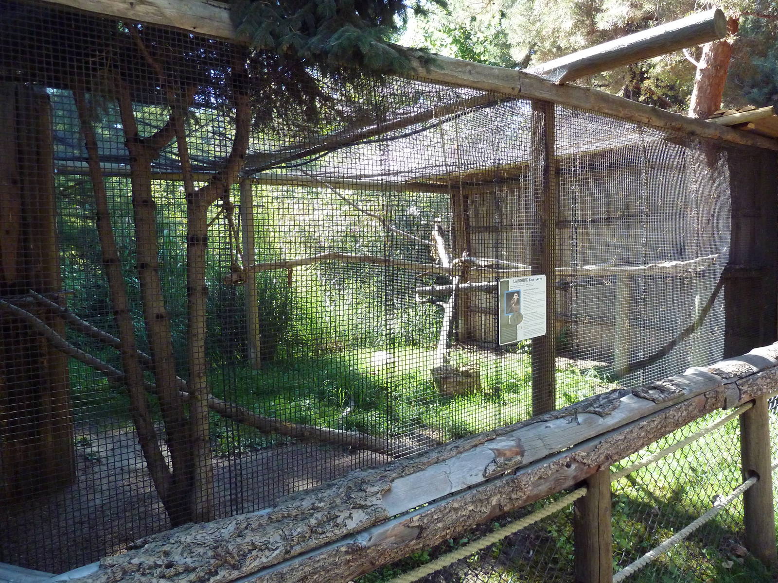 Kookaburra Exhibit