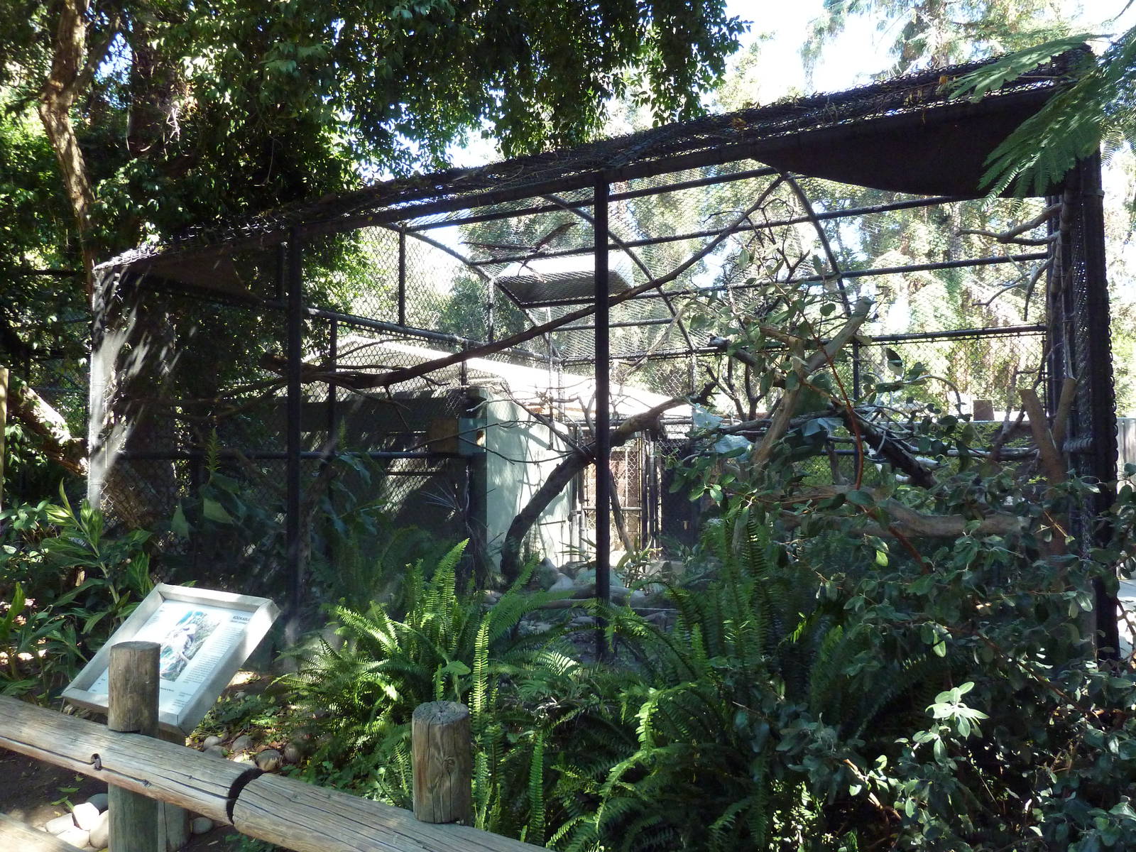 Kookaburra Exhibit