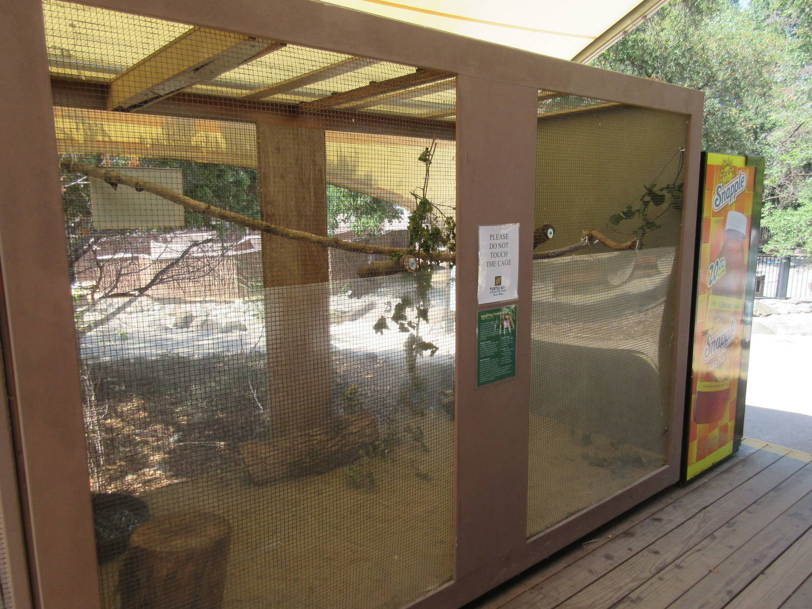 Kookaburra Exhibit