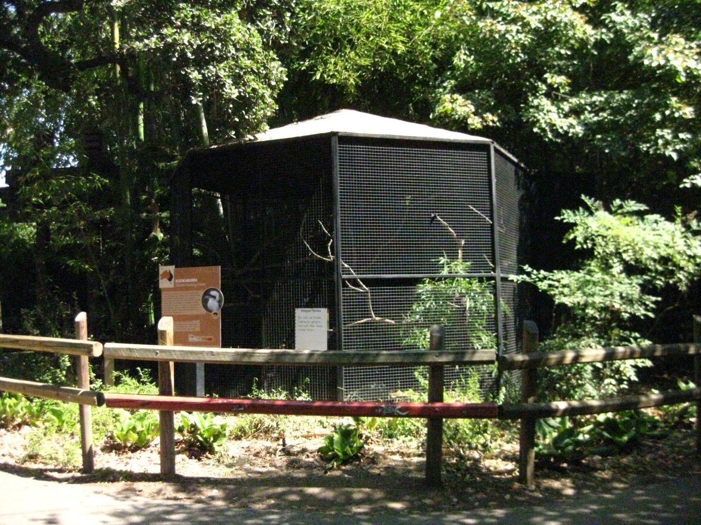 Kookaburra Exhibit