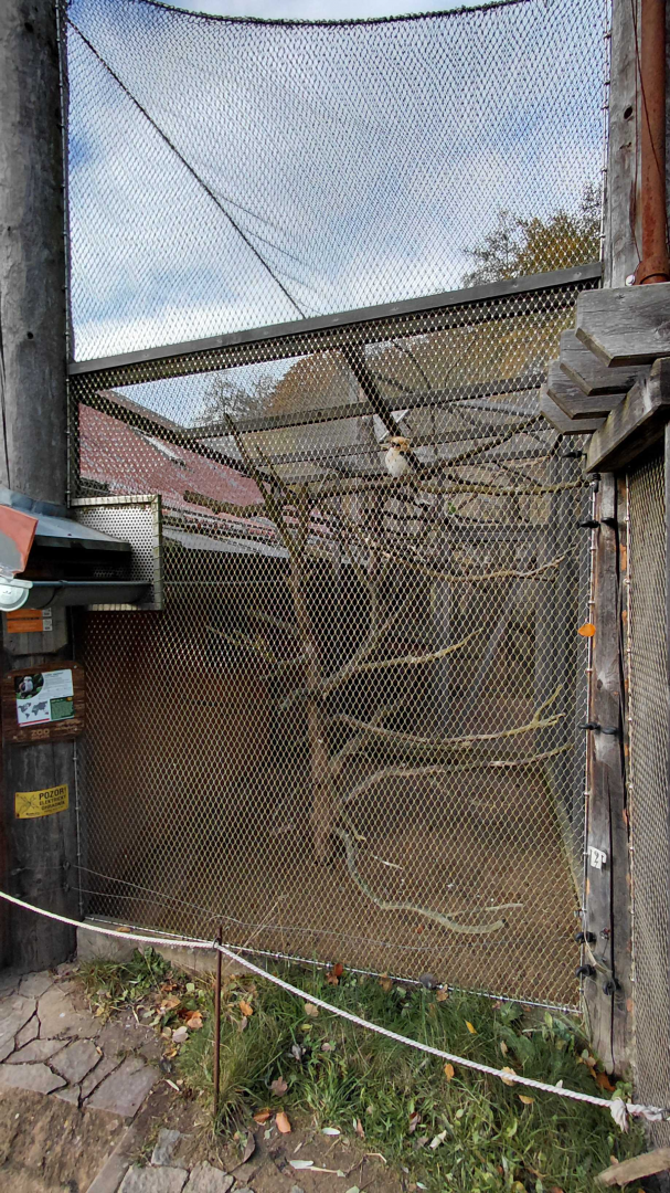 Kookaburra outdoor exhibit