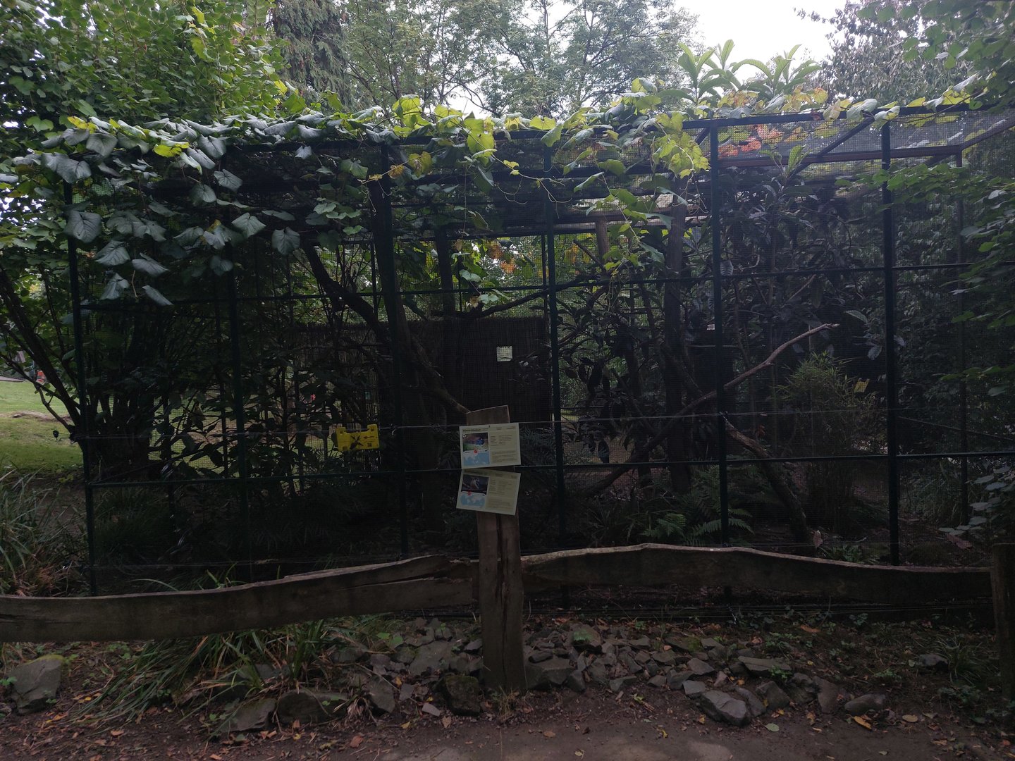 Kookaburra & Palawan peacock pheasant cage