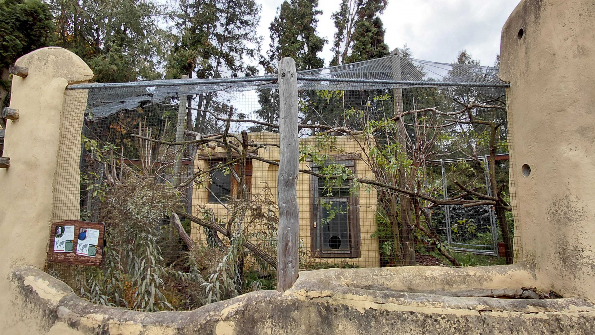 Kookaburra + pheasant aviary