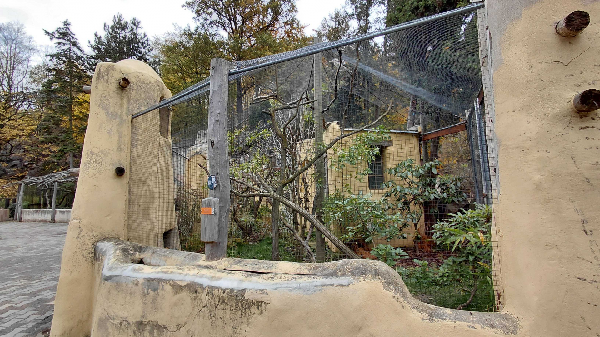Kookaburra + pheasant aviary