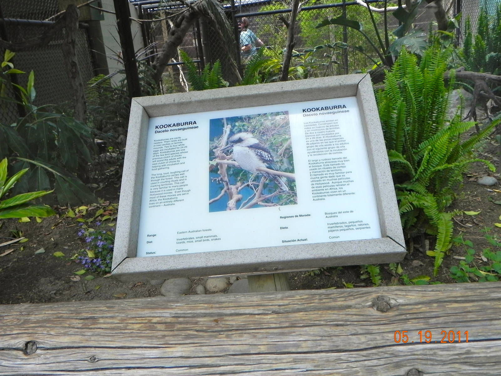 Kookaburra sign