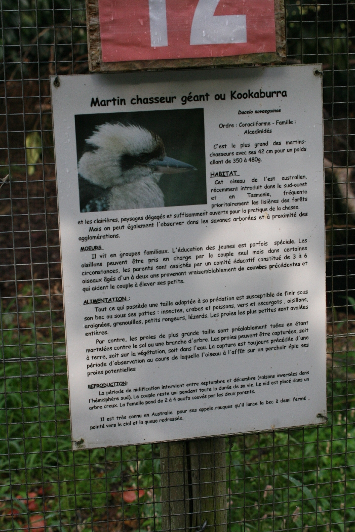 Kookaburra Signage