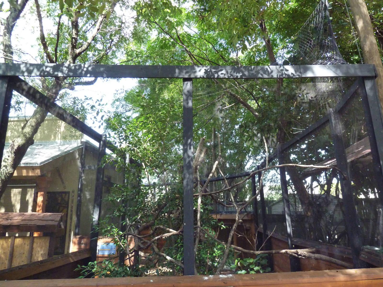 Kookaburra/Tawny Frogmouth Exhibit