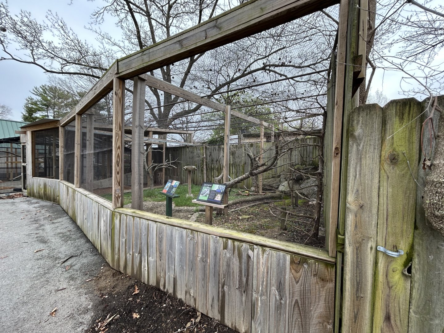 Kookaburra & Tawny Frogmouth Exhibit