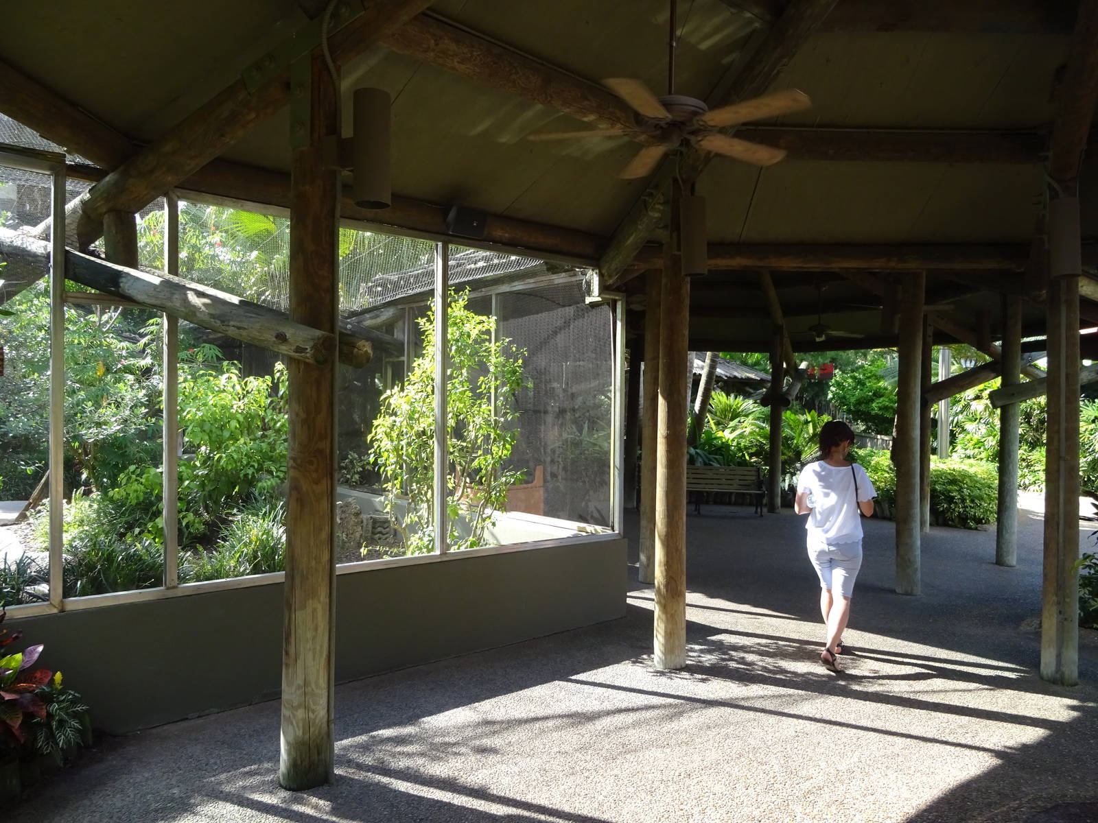 Kookaburra's Nest Walkthrough Aviary Exterior at Busch Gardens Tampa