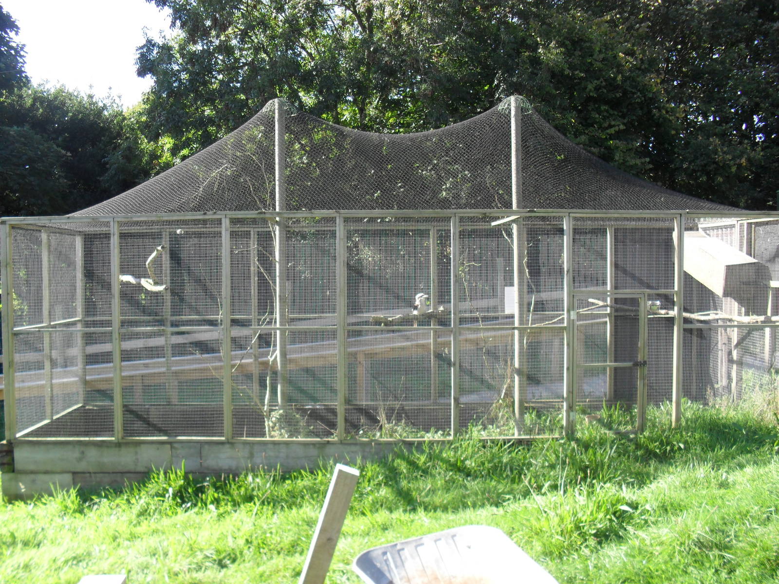 Kookuburra Aviary