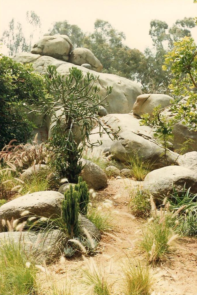 Kopje 1986 - Landscape