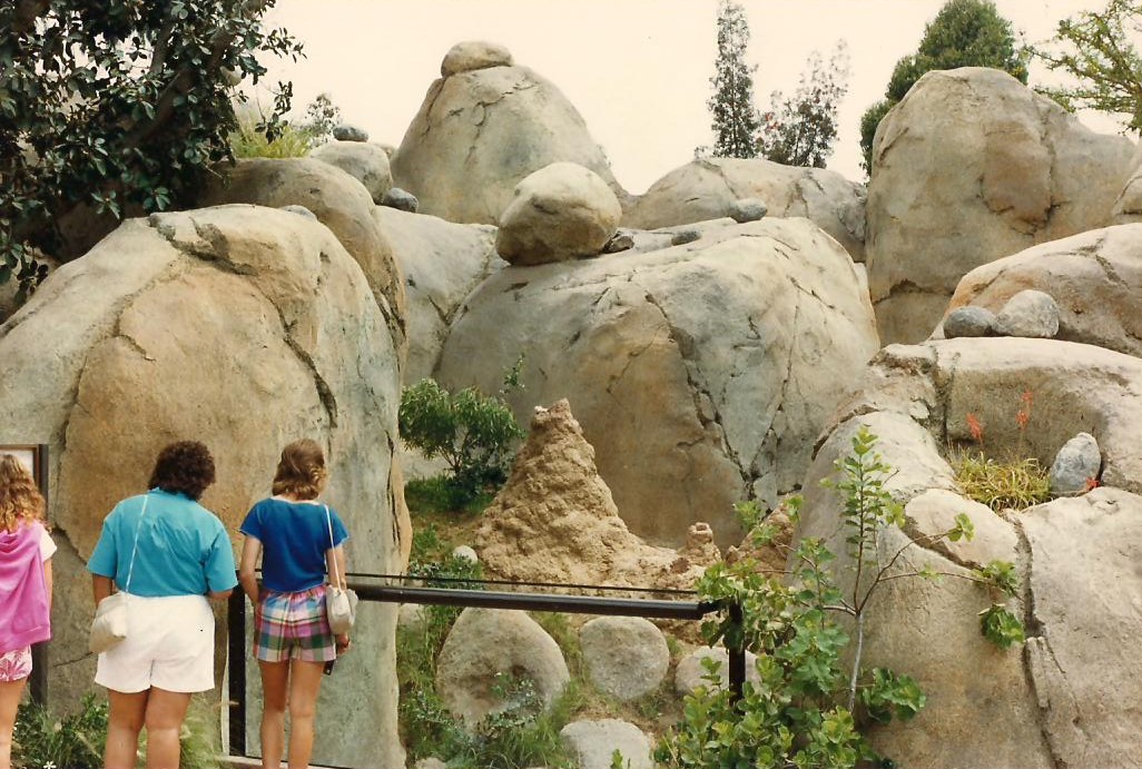 Kopje 1986 - Mammal Exhibit