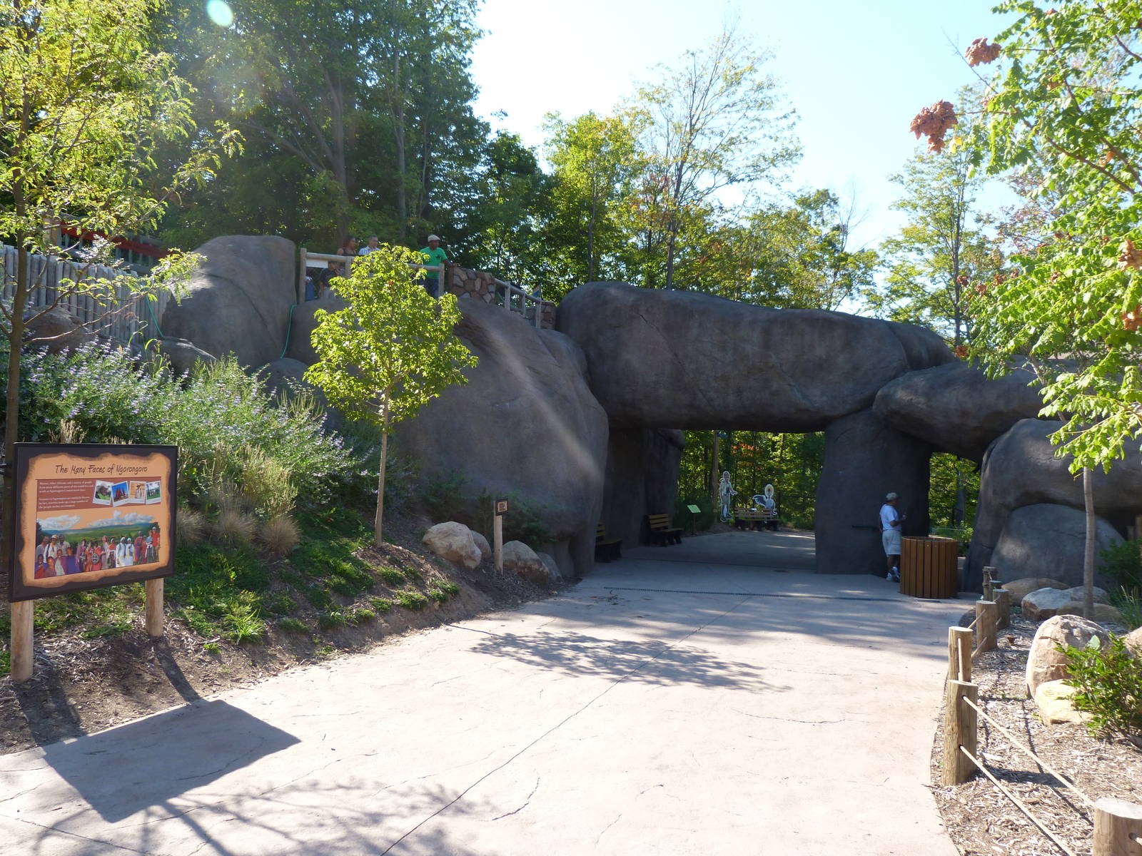 Kopje: A Step Into Africa