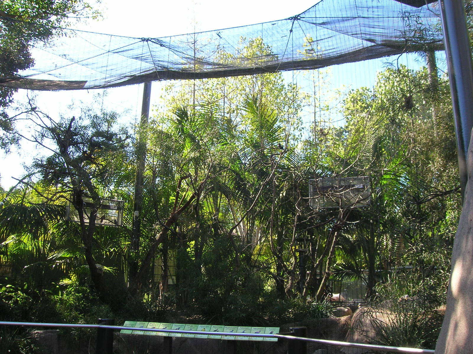 Kopje Aviary 2-10-09