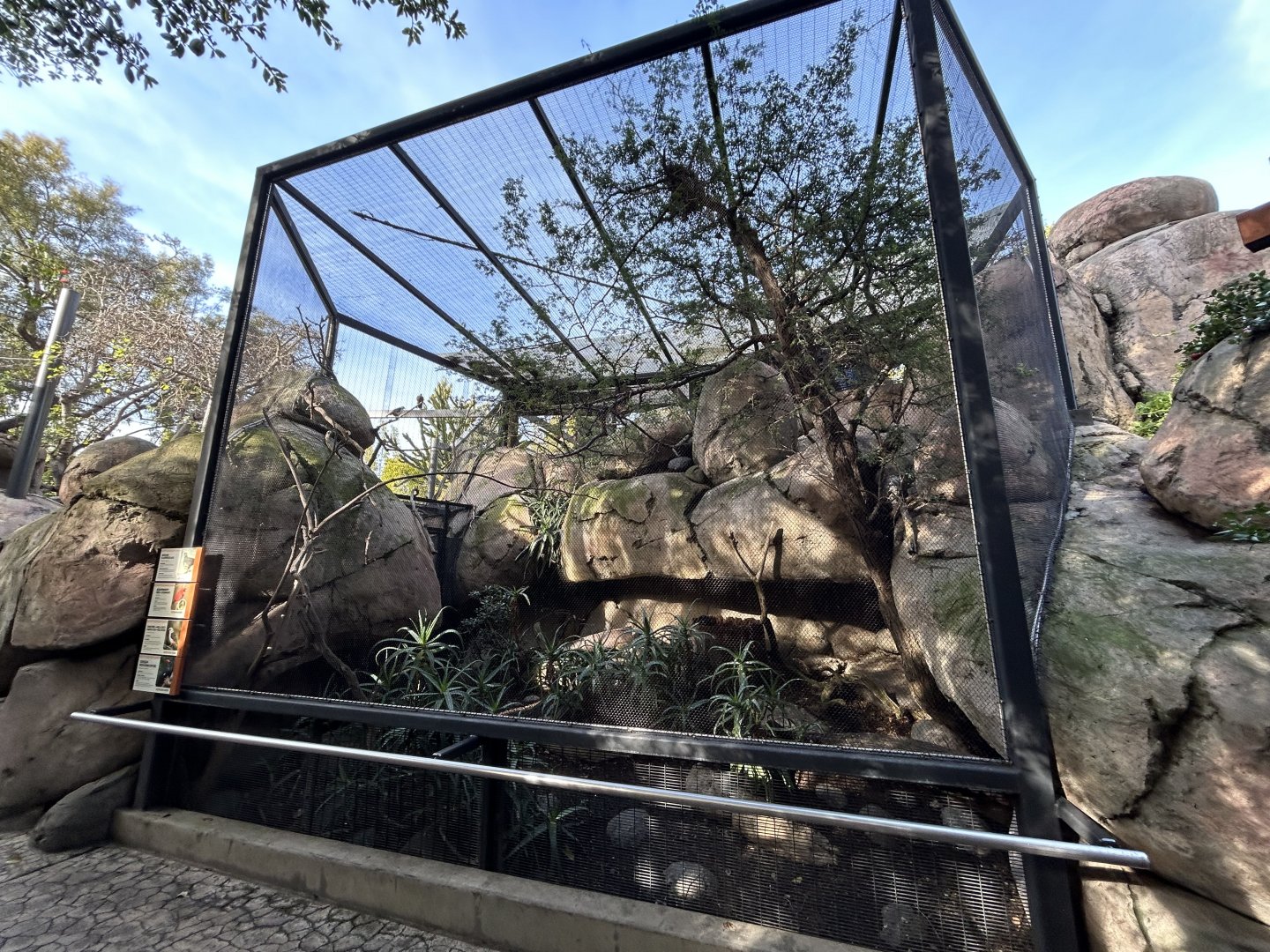 Kopje Aviary - Africa Rocks