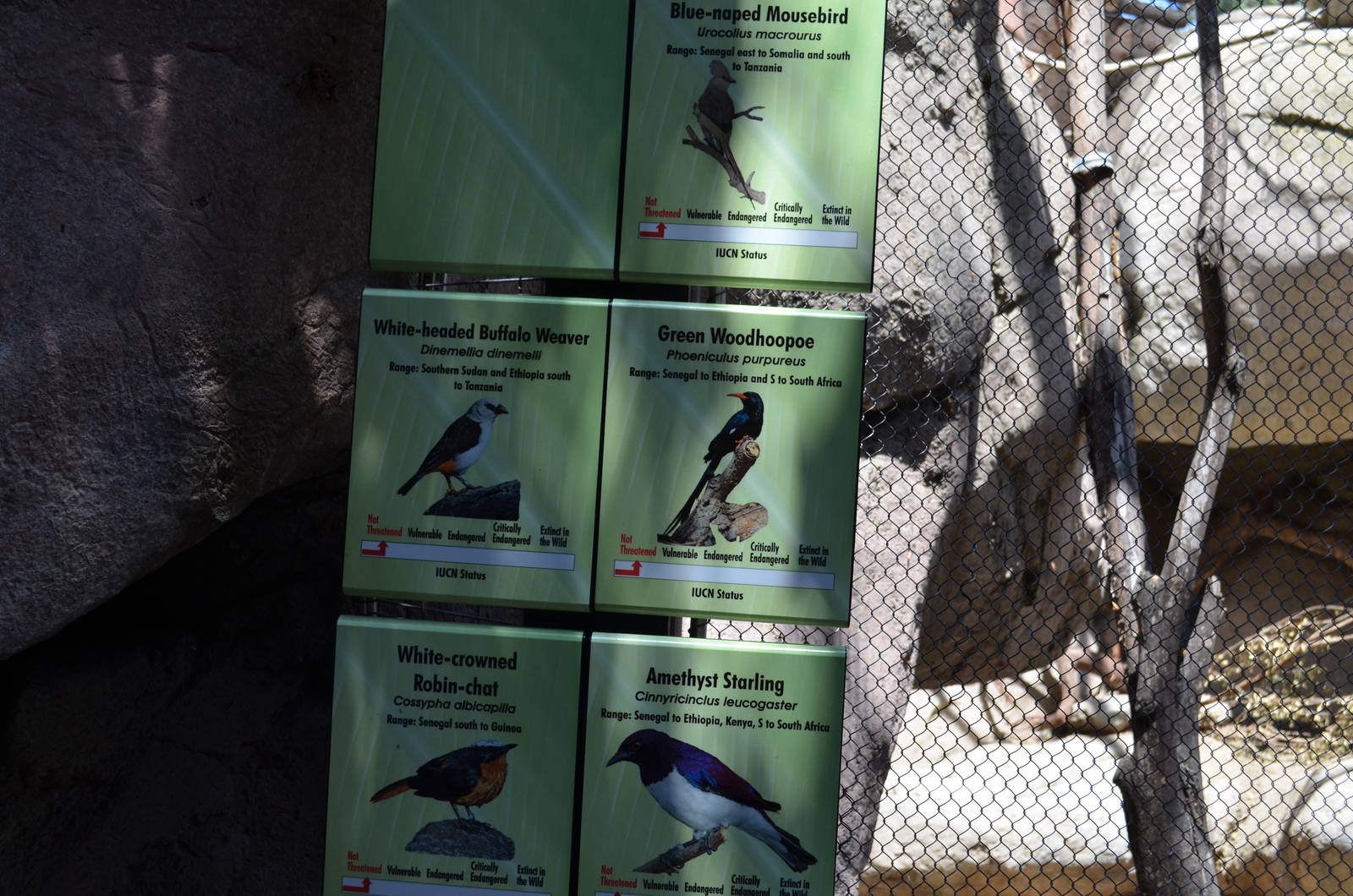 Kopje Aviary Signage