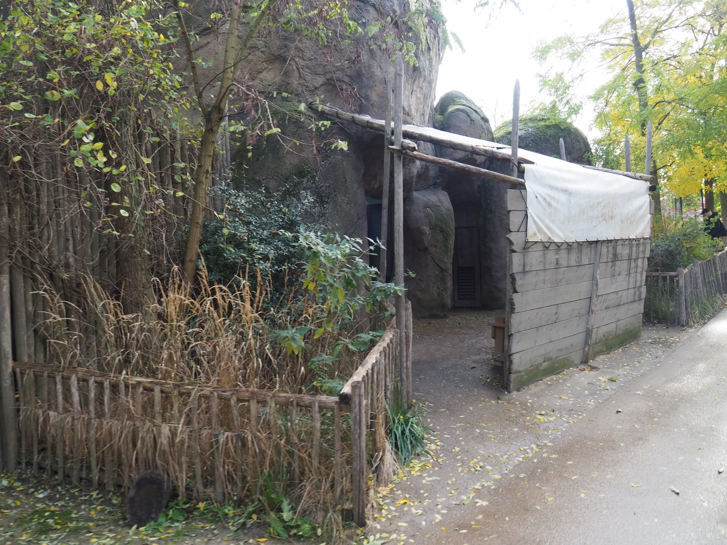 Kopje building and viewing area (Nov 10th, 2018)