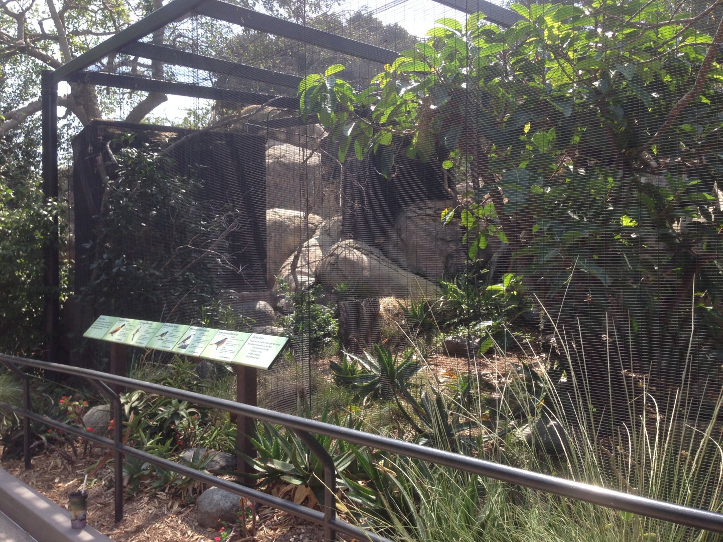 Kopje External Aviary