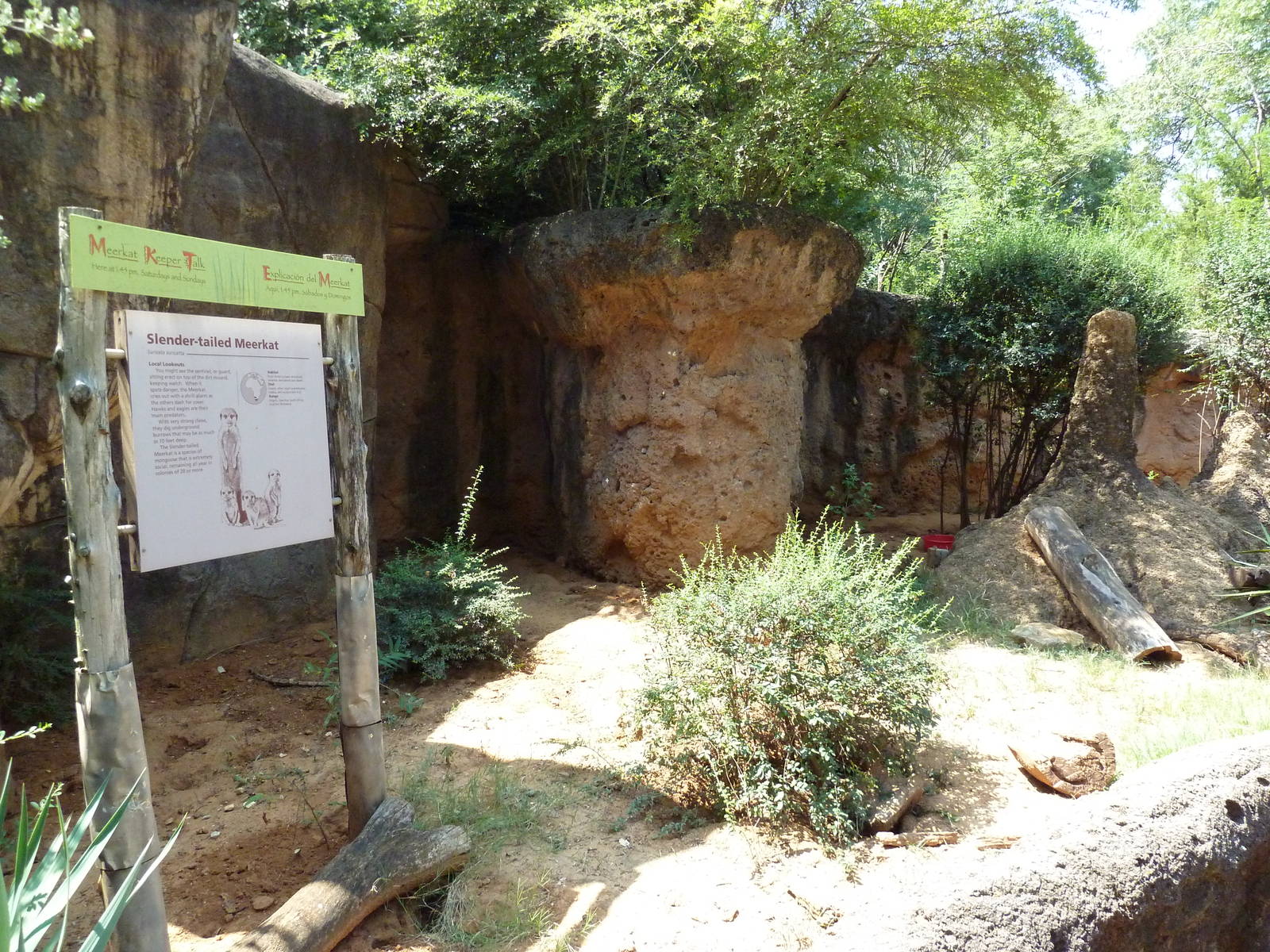Kopje - Meerkat Exhibit