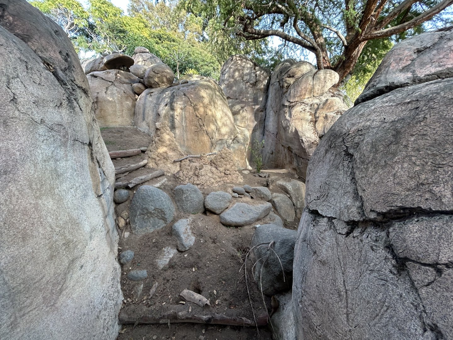 Kopje Mixed-species Exhibit - Africa Rocks