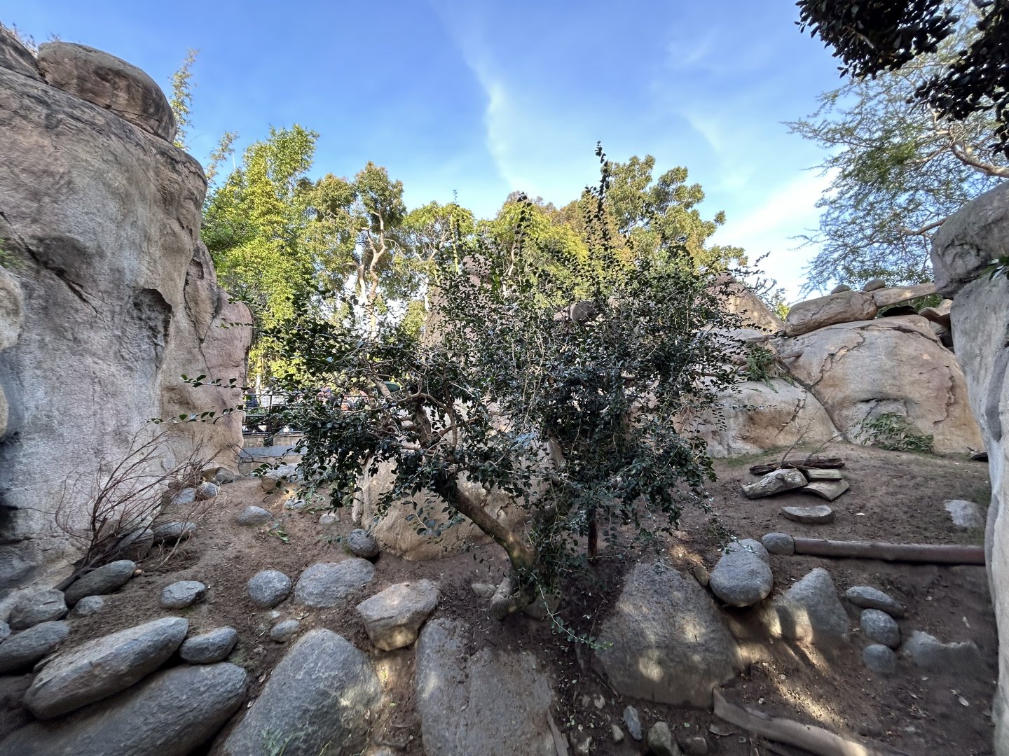 Kopje Mixed-species Exhibit - Africa Rocks