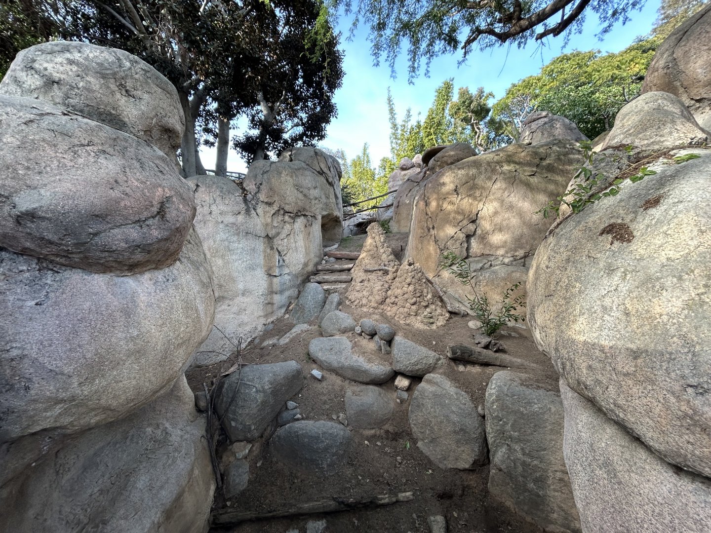 Kopje Mixed-species Exhibit - Africa Rocks