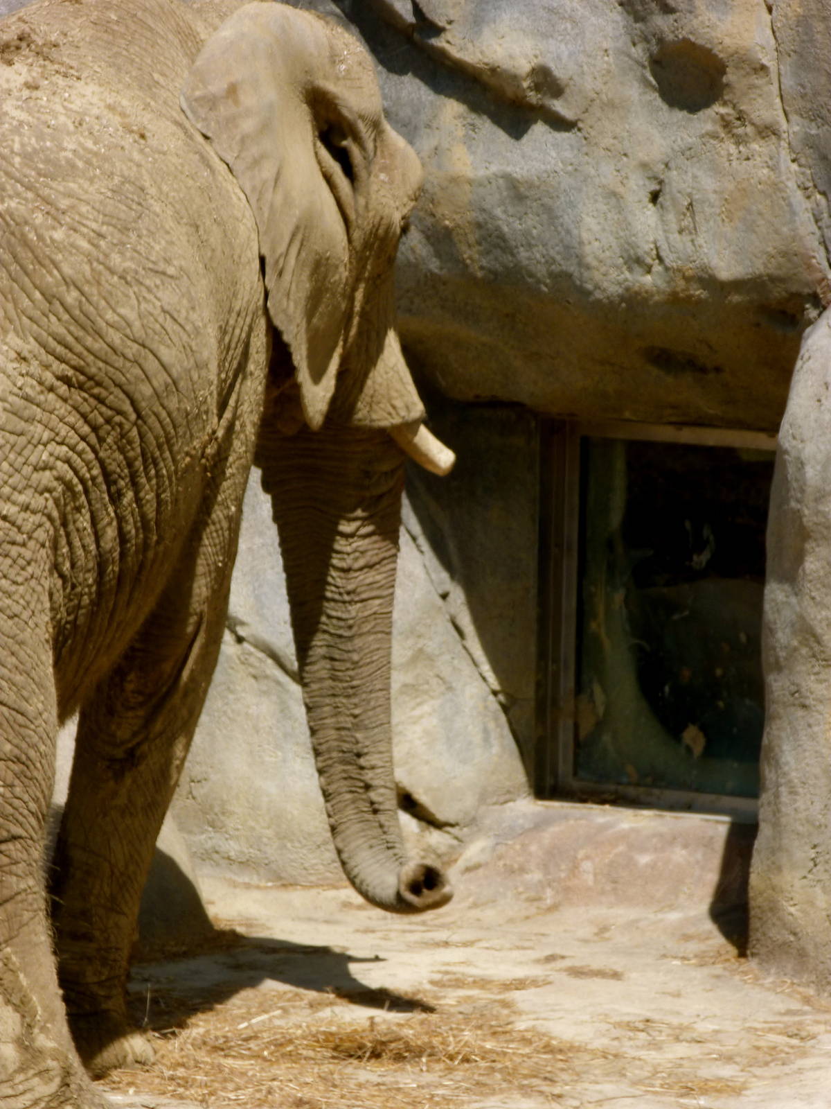 Kopje Rock Window - Elephant Crossing