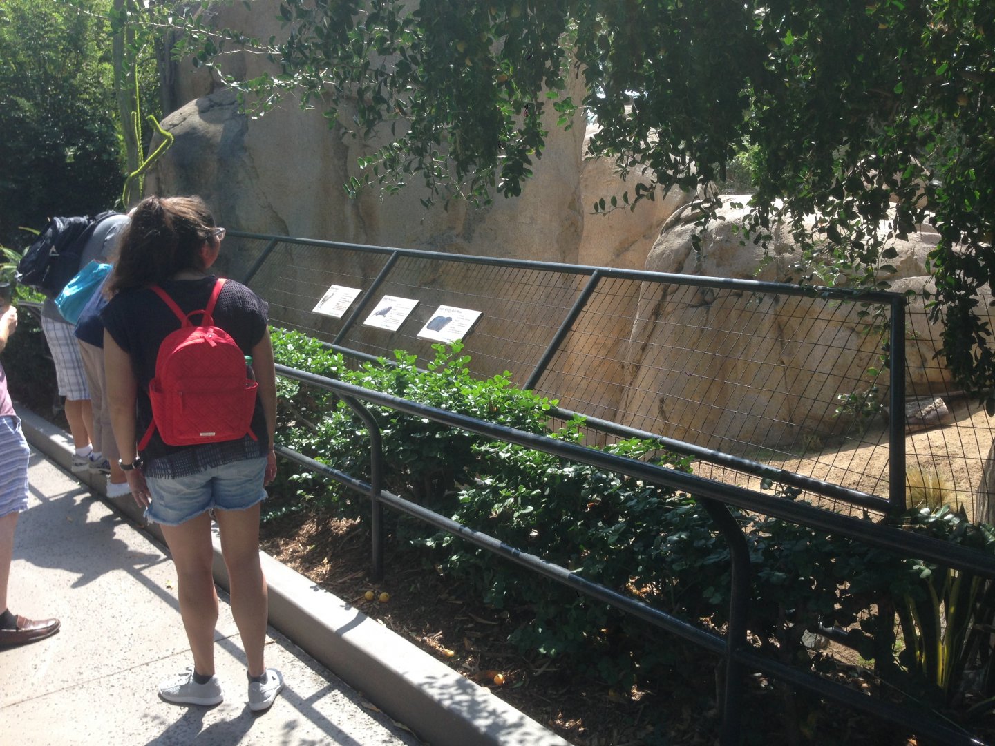 Kopje Viewing Facing School