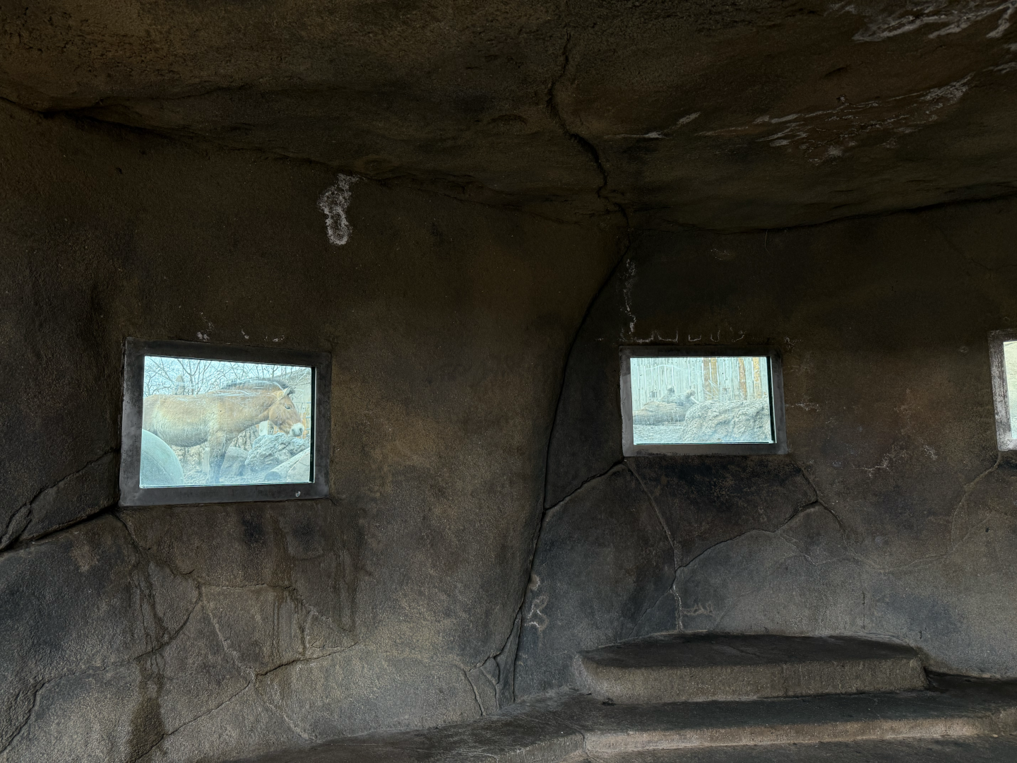 Kopje Viewing - West Yard - High Desert Oasis