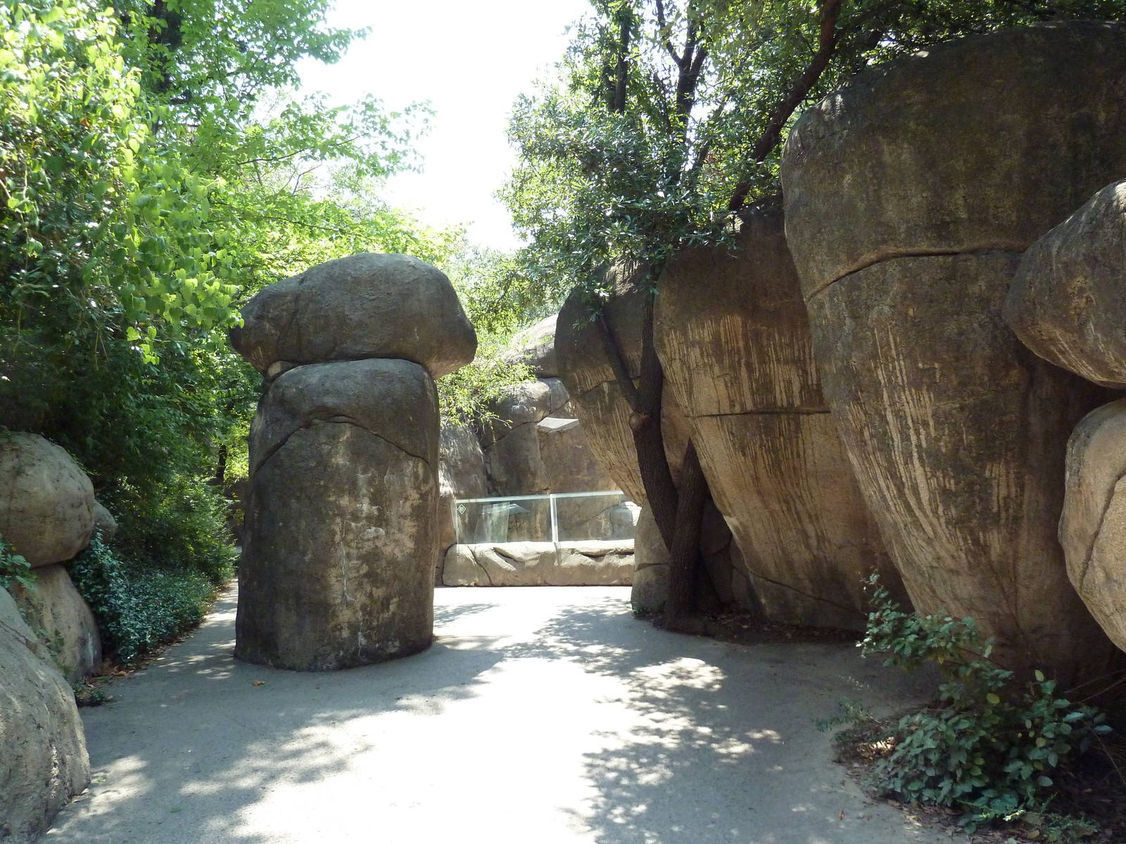 Kopje - Walkway (Phallic Rock?)