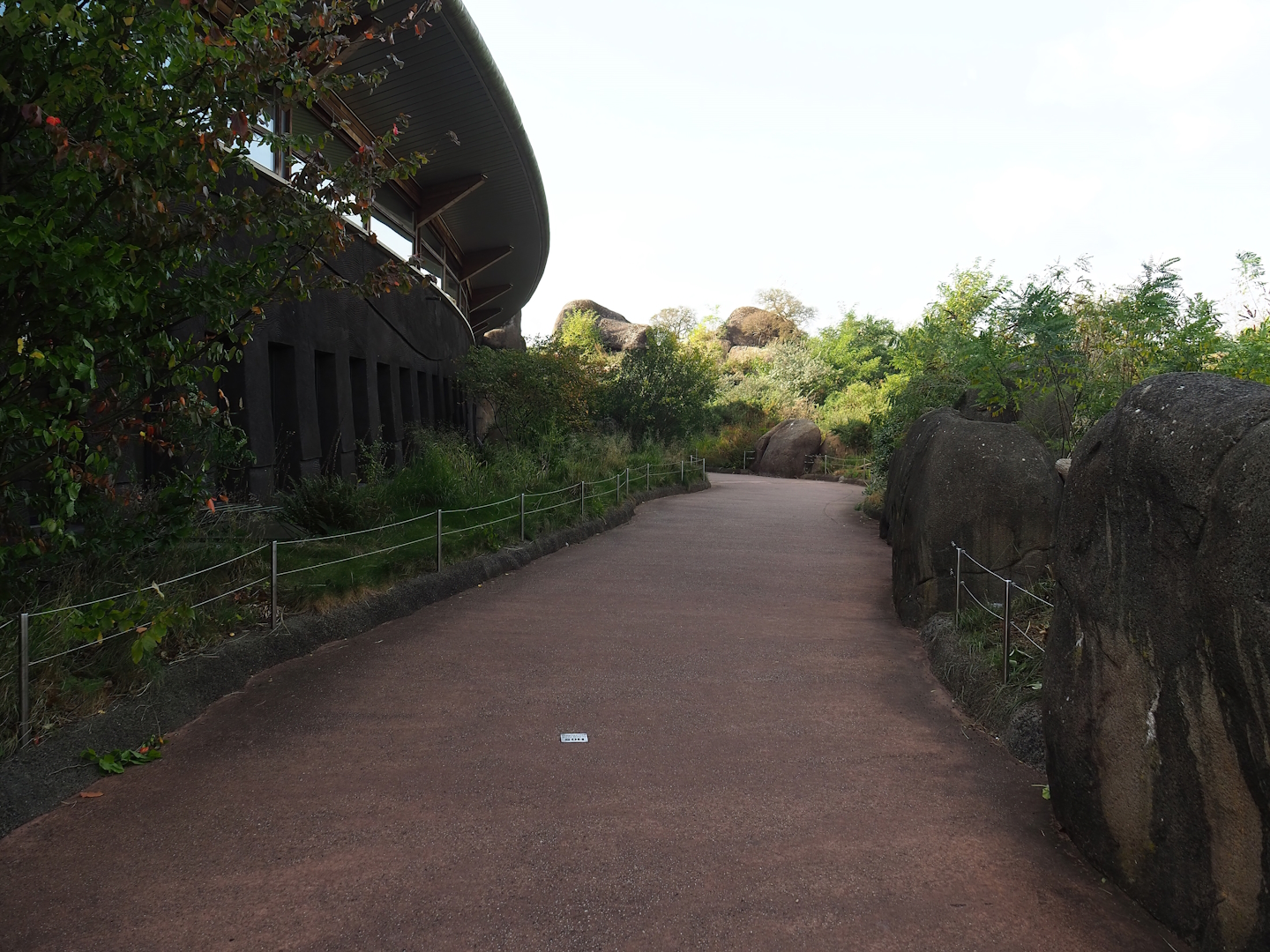 Kopje walkway to Safari restaurant and terraces, 2023-10-07