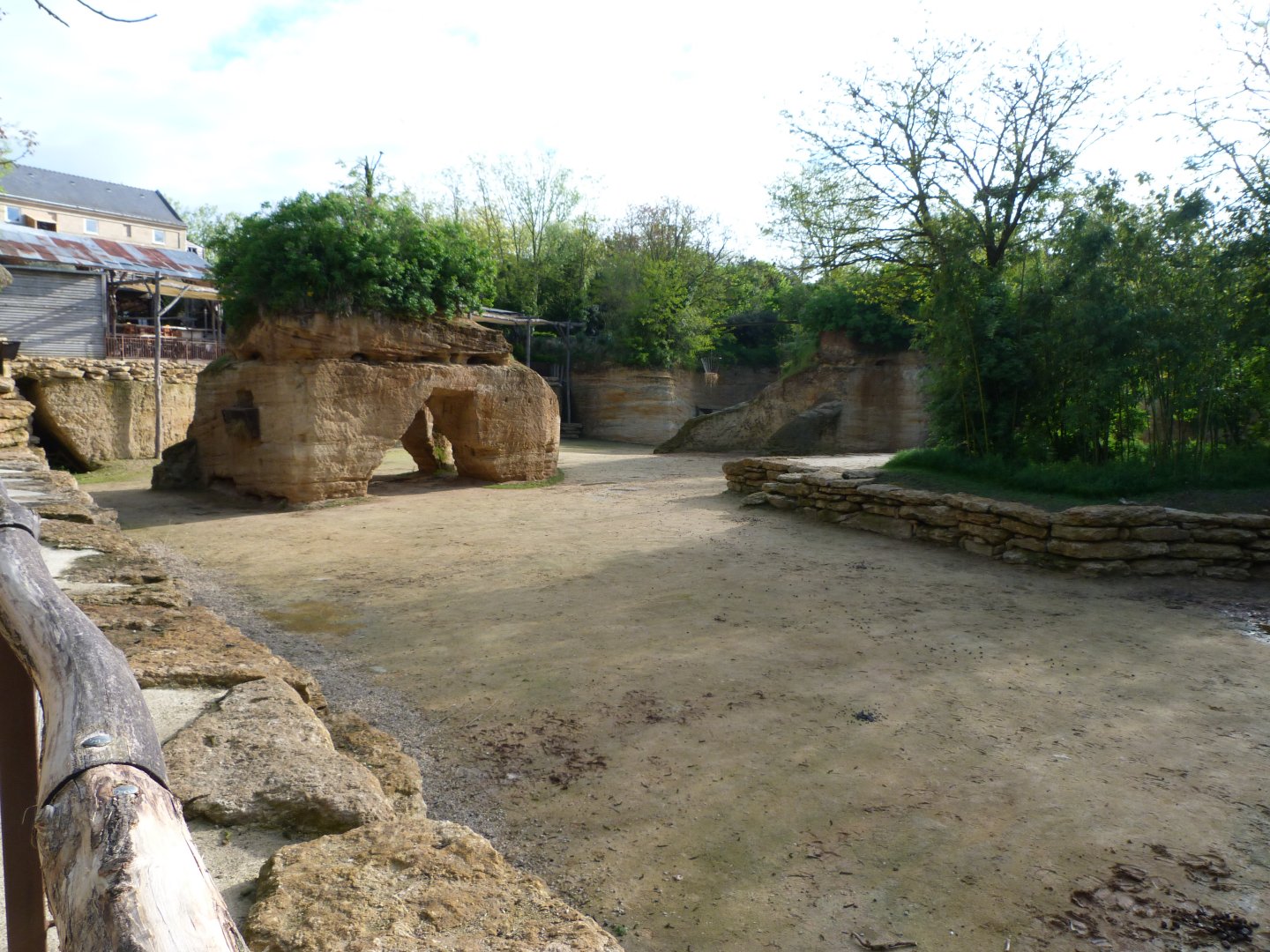 Kordofan giraffe and Grevy's zebra exhibit -Bioparc de Doué la Fontaine (2025)