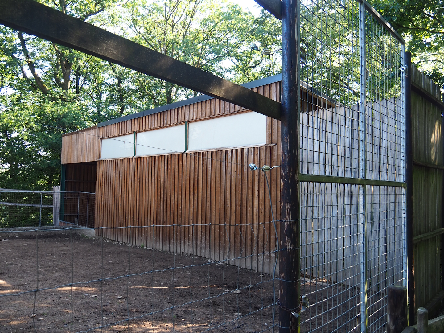 Kordofan giraffe barn, 2023-06-24