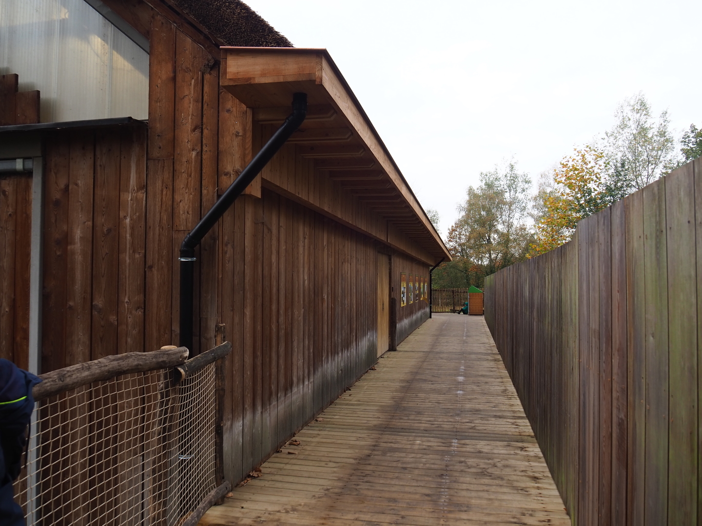 Kordofan giraffe house with renovated walkway and renovated roof with new roof gutters, 2021-11-06