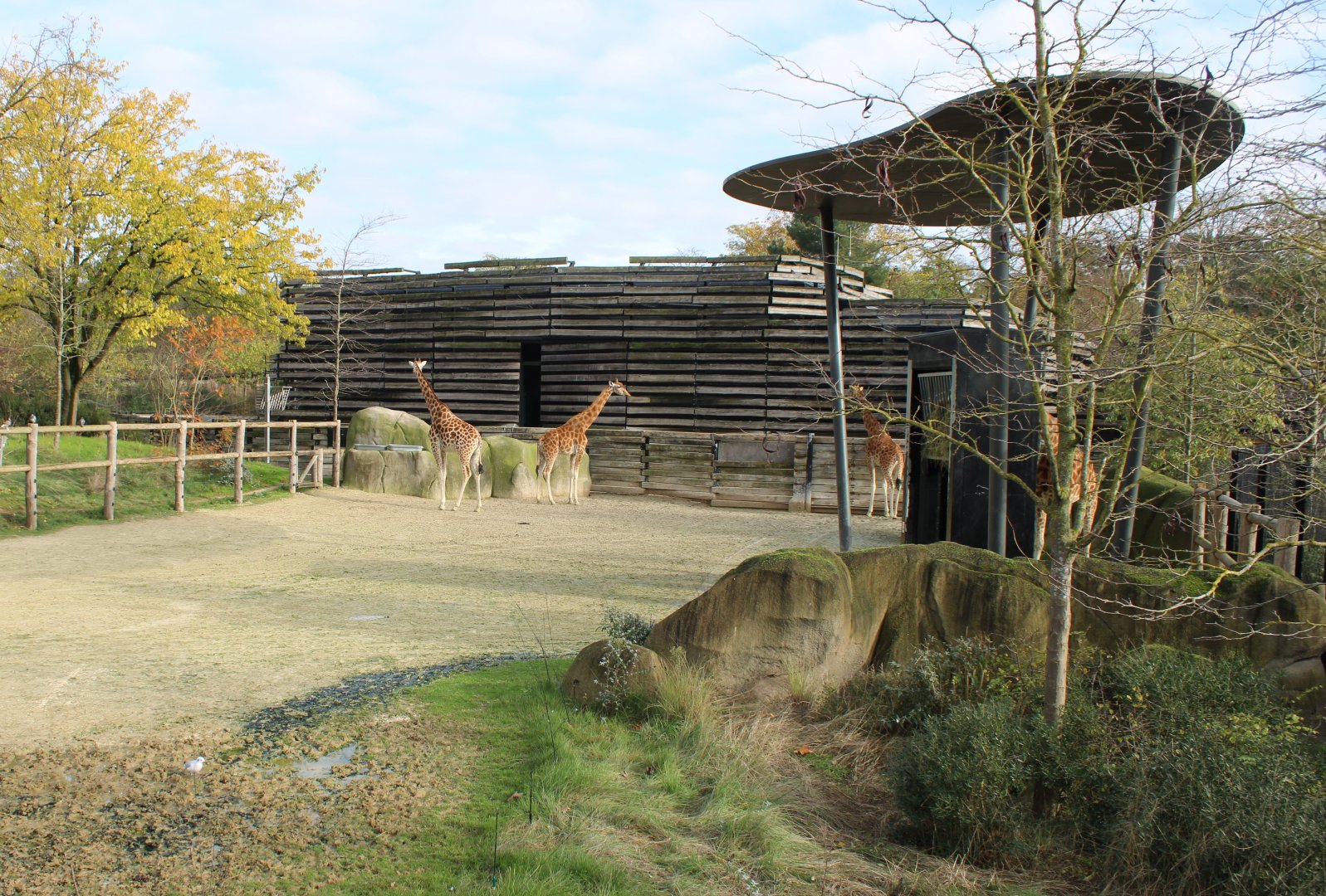 Kordofan - Greater kudu enclosure
