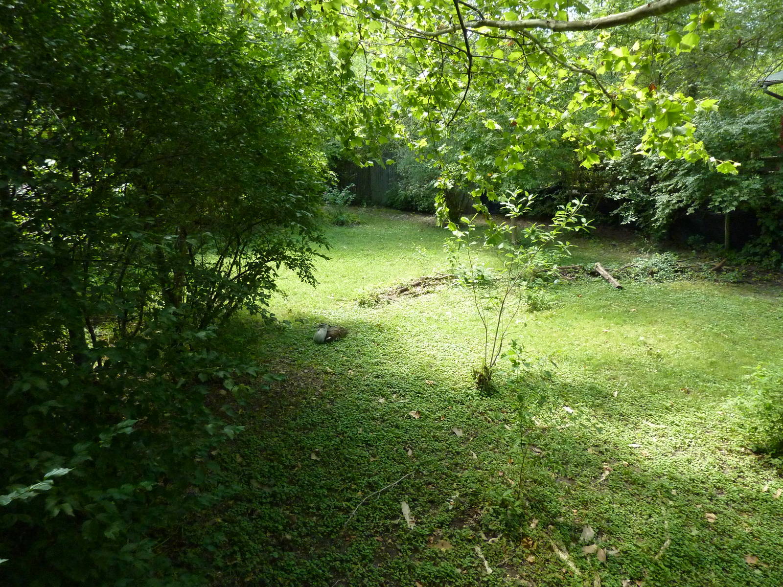 Kori Bustard Exhibit