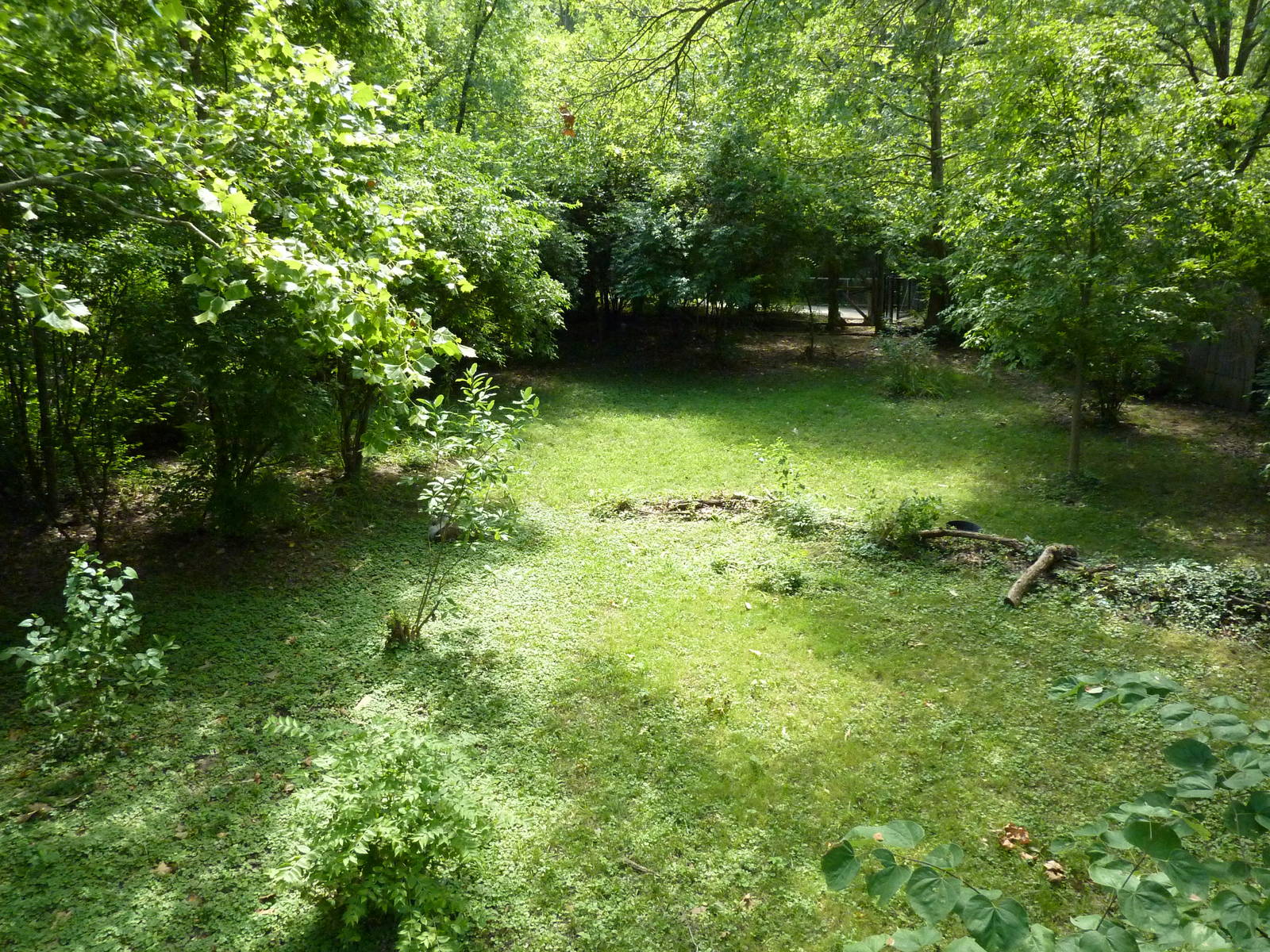 Kori Bustard Exhibit