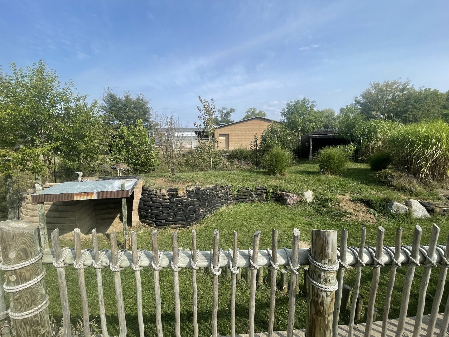 Kori Bustard Exhibit