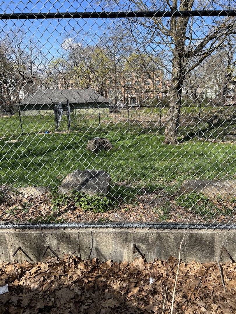 Kori Bustard Exhibit