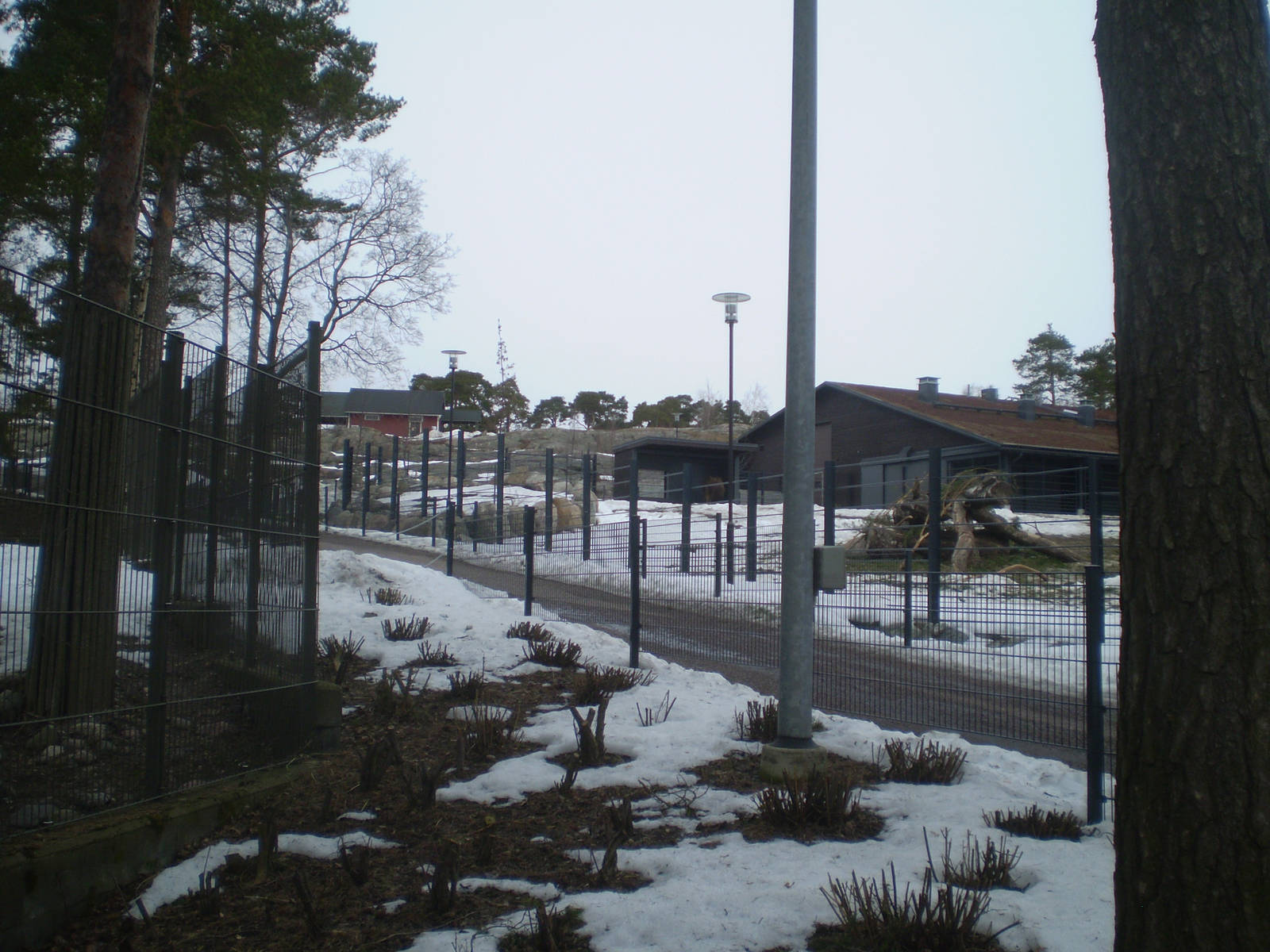 Korkeasaari Helsinki Zoo