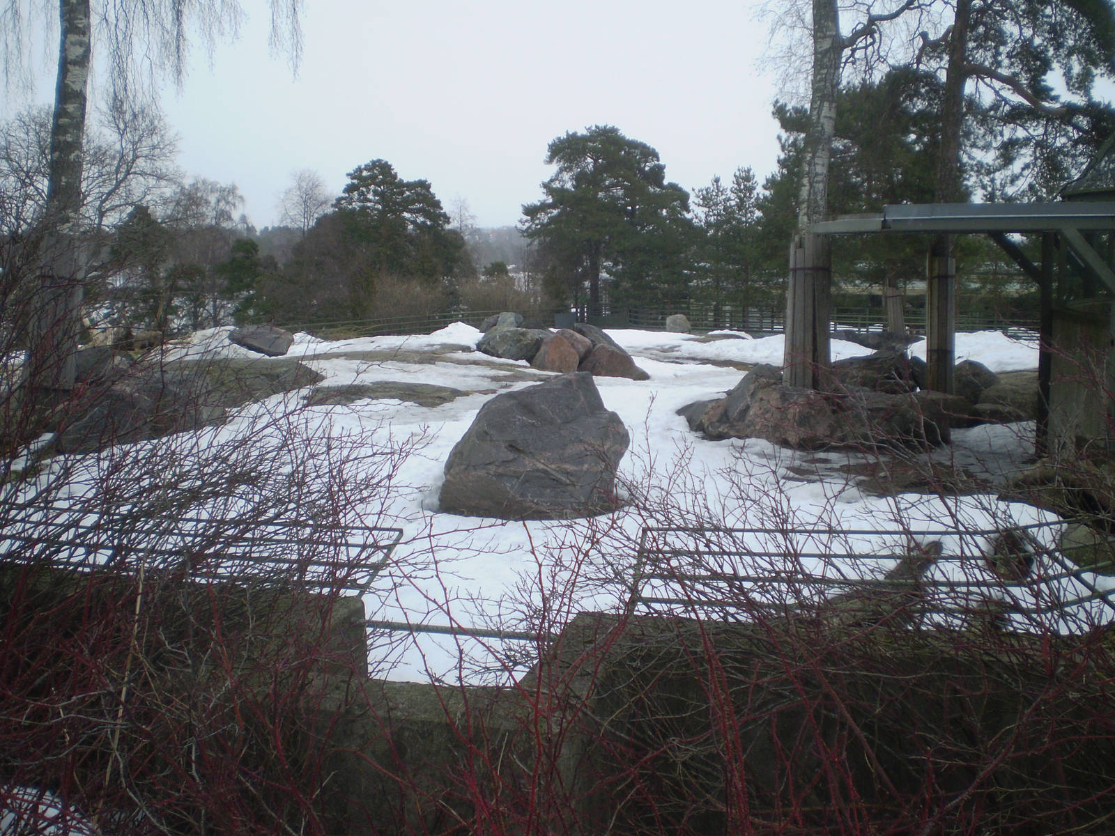 Korkeasaari Helsinki Zoo